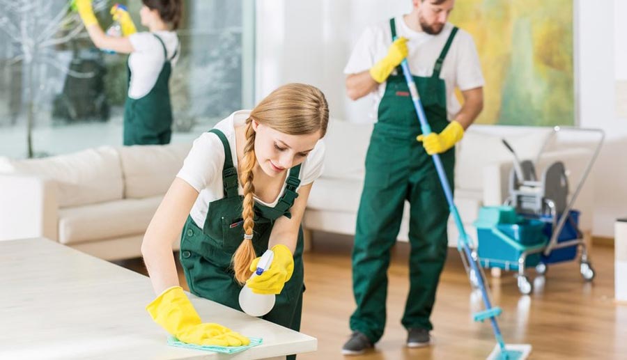 Apartment Cleaning - Pro Cleaning