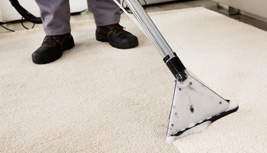 Carpet cleaning - Pro Cleaning